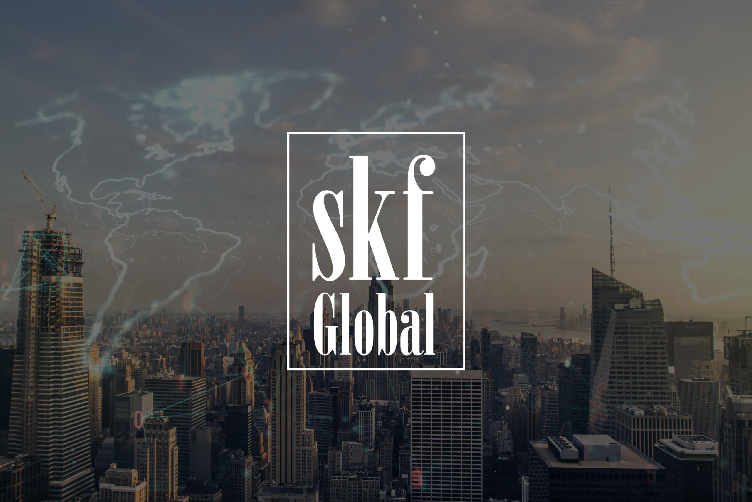 ABOUT SKF GLOBAL HOLDING visual data 8